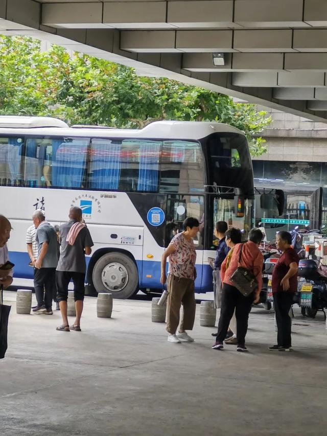 “15元旅游团”爆火！浙江好多人报了！“怎么劝都没用……”-华闻时空
