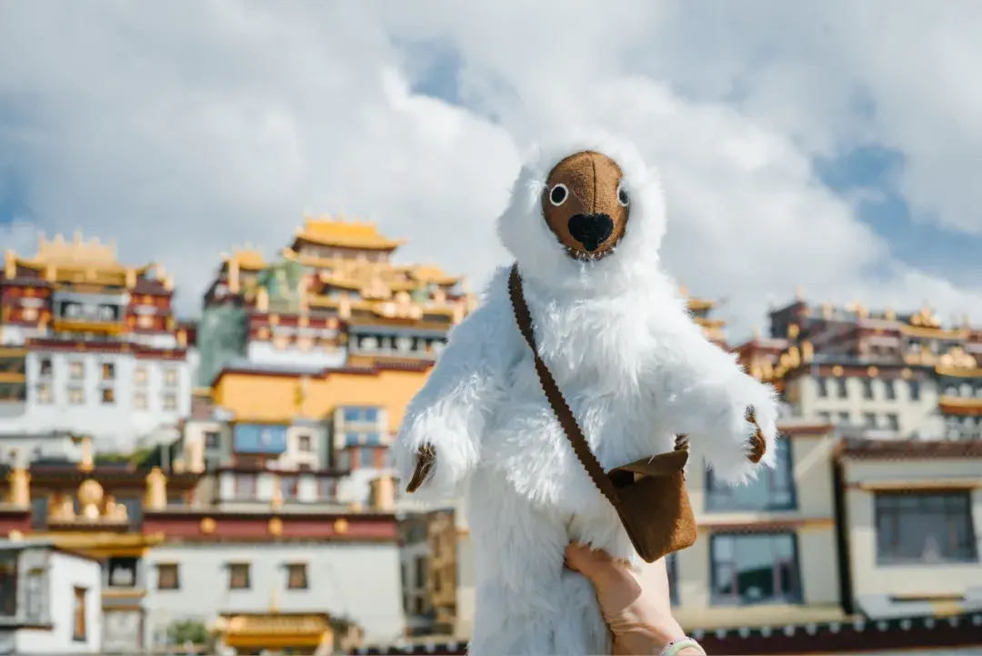 顶级景色顶级会吃顶级松弛，它们真的没有平替！-华闻时空