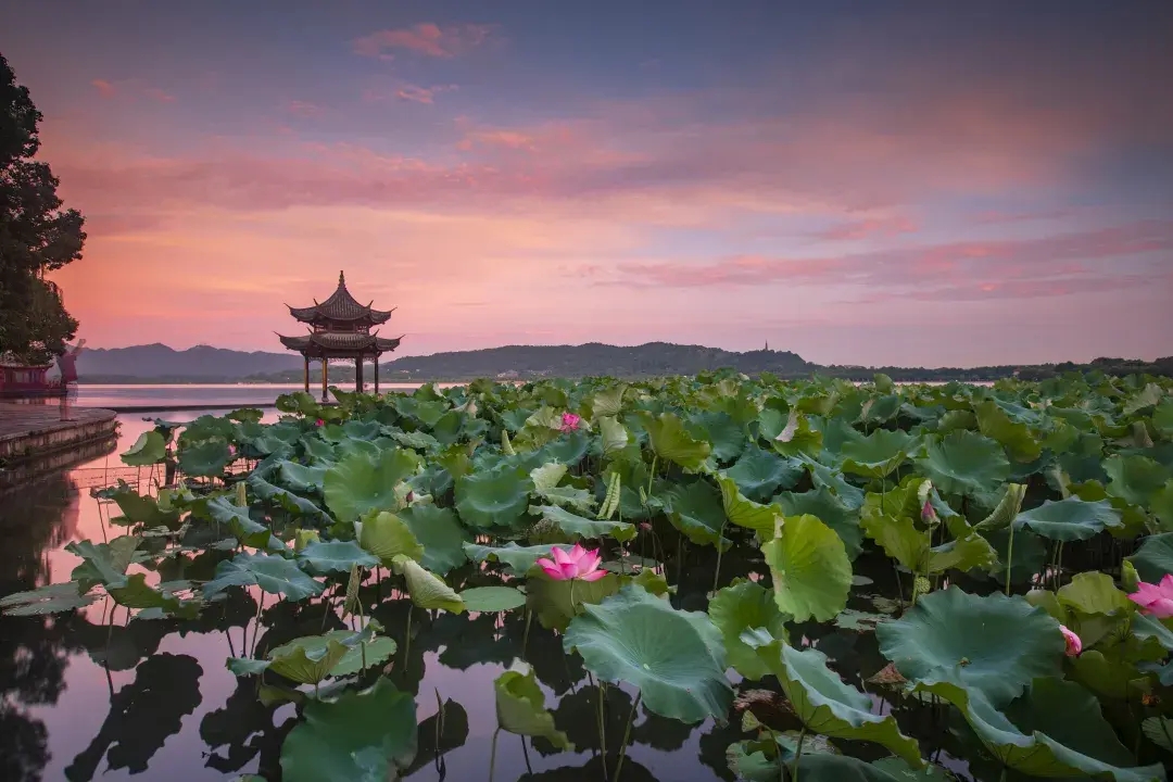 适合夏天的清凉版walk，属于40℃杭州的正确打开方式！-华闻时空