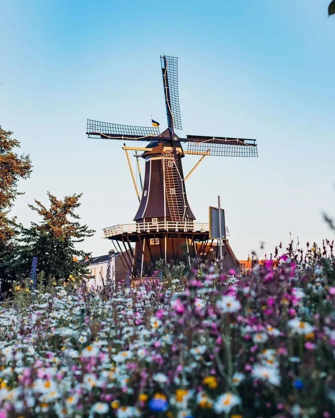 阿姆斯特丹秋日魔法：2024你不能错过的10大体验 -华闻时空