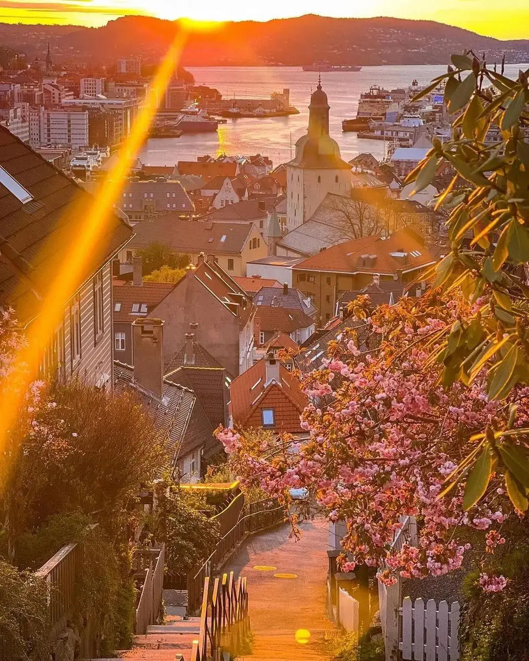 2024年秋天，踏上挪威海岸之旅的8大理由-华闻时空