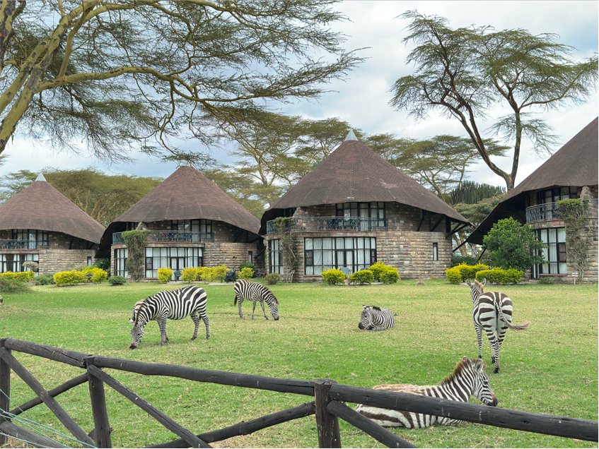 肯尼亚猎游诗十五首-华闻时空