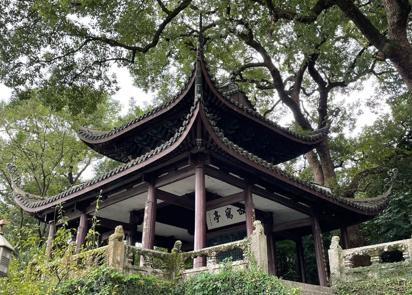 姜敏达诗歌欣赏:孤山放鹤亭(外一首)-华闻时空