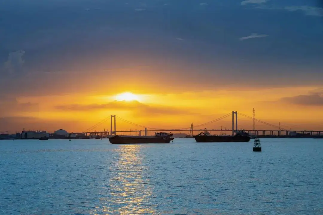 一线城市都羡慕的城区,松弛感爆表 -华闻时空