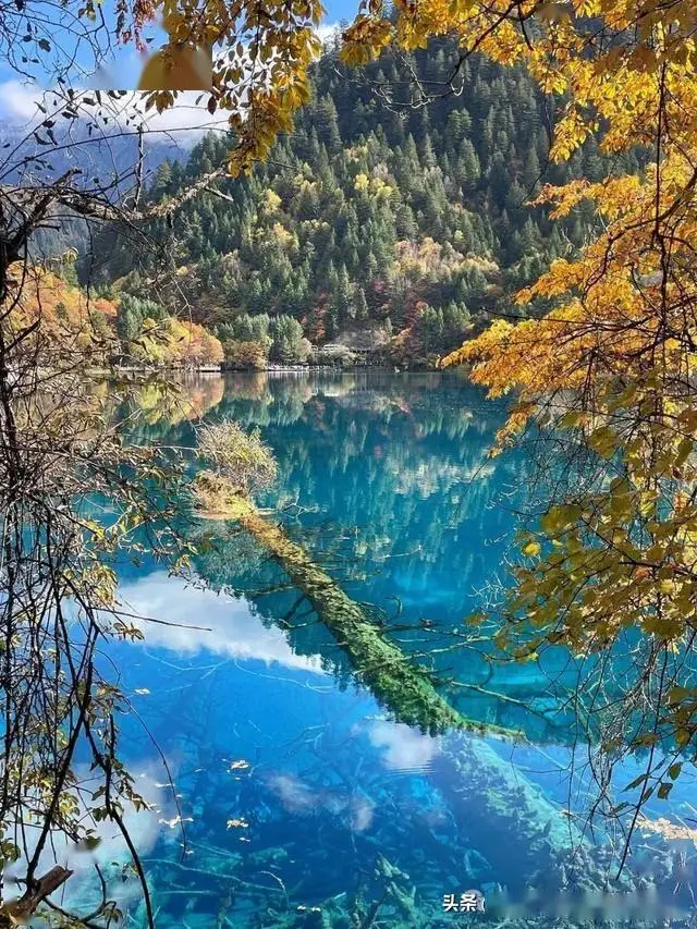 等待已久的高铁通了!这座不止5A的“人间仙境”,秋景封神! -华闻时空