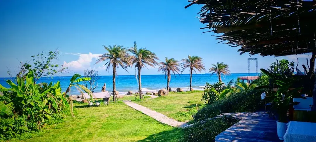 北海涠洲岛的“民宿之王”,是怎样炼成的?-华闻时空