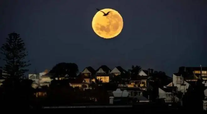 就在今晚！新西兰人将迎“超级月亮”，6万年一遇的彗星或要来！这份指南收好！ -华闻时空