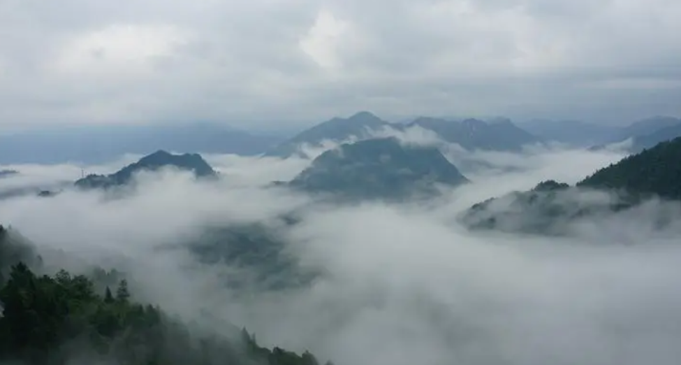 姜敏达诗歌欣赏：十一月-华闻时空