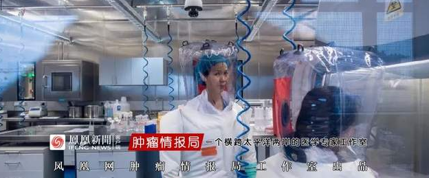 病毒学家石正丽离任武汉病毒研究所，在《自然》发表重磅研究-华闻时空