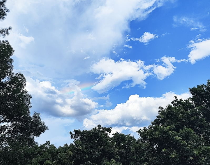 真,文学的强大生命力---《千岛拾遗》代序-华闻时空