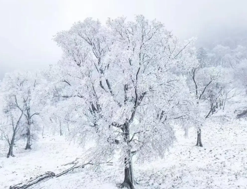 姜敏达诗歌欣赏：我在等待一场大雪-华闻时空