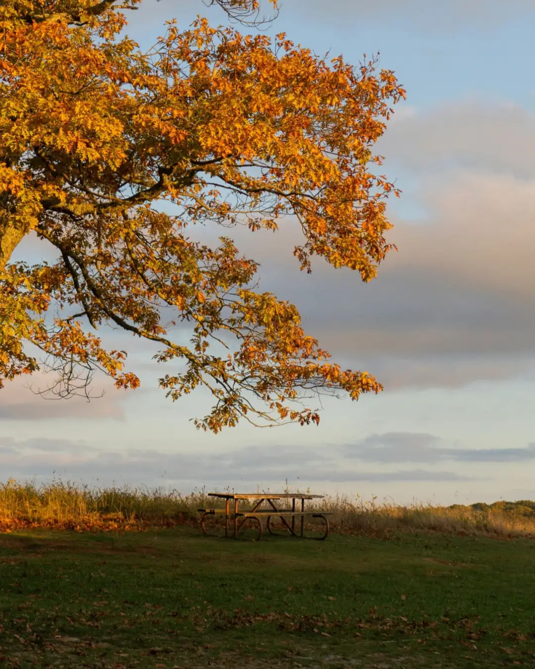 2024美国7大冬季旅行胜地，享受阳光、雪景与美食！ -华闻时空