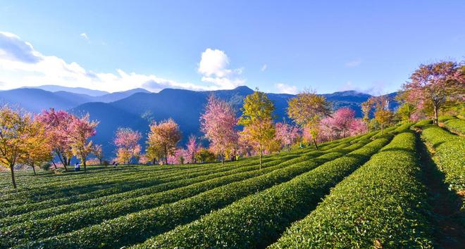 12月值得去的8个小众旅行地，人少景美，淡季体验佳-华闻时空