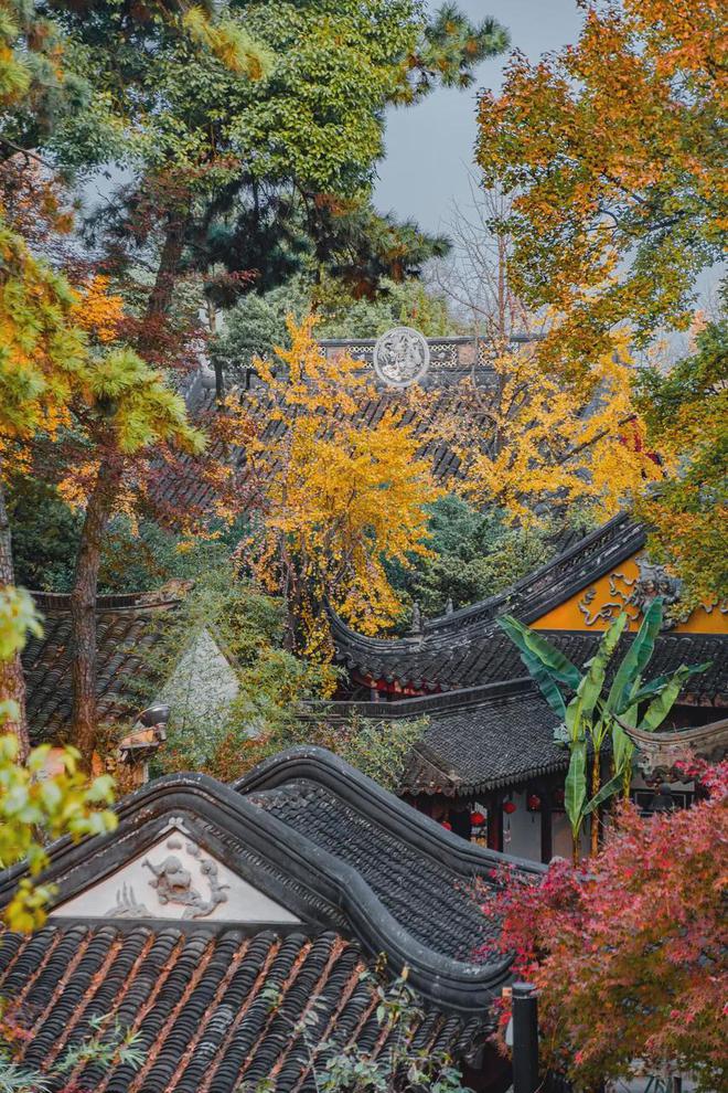 中国最值得去的7座寺庙，有生之年一定要去朝拜一次，去过3个已经厉害了，你去过几个-华闻时空