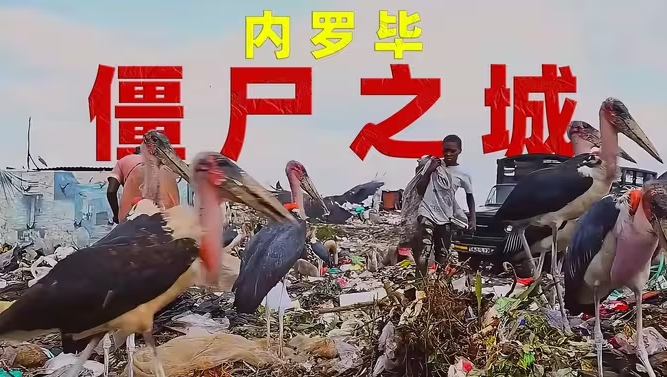 内 罗 毕 ：欢 迎 来 到 僵 尸 之 城-华闻时空