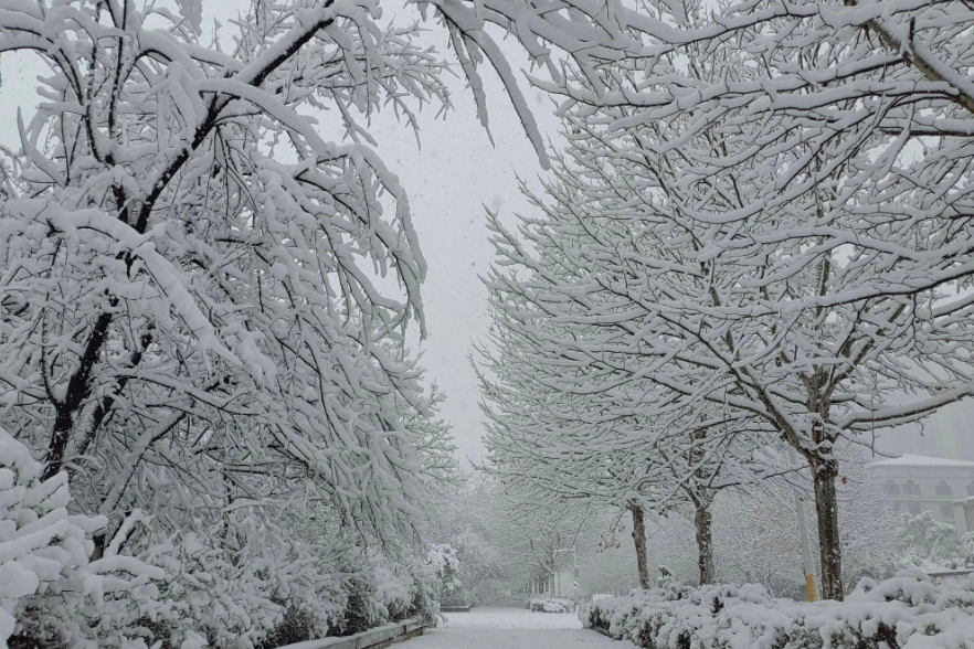 姜敏达诗歌欣赏：大雪-华闻时空