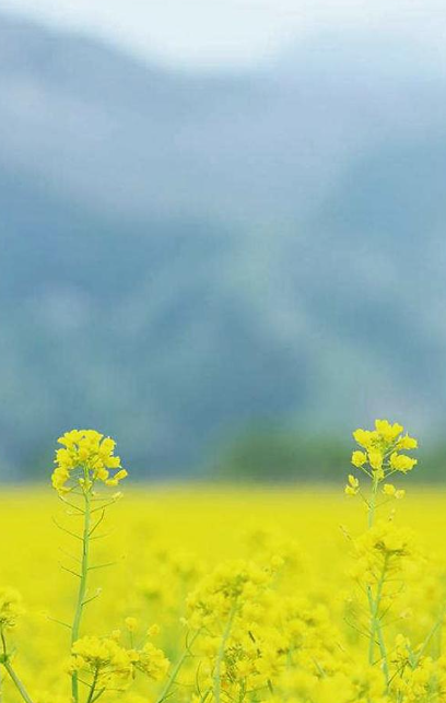 2025年会是什么样子？-华闻时空