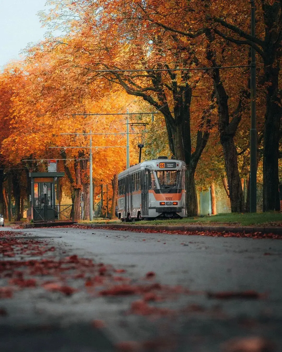 36小时玩转布鲁塞尔丨沉浸在艺术、历史与美食之中 -华闻时空