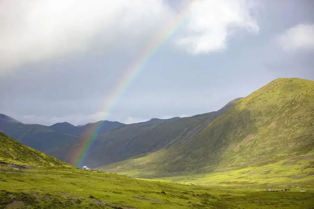 麦琳同款熏鸡，来自这座草原城市 -华闻时空