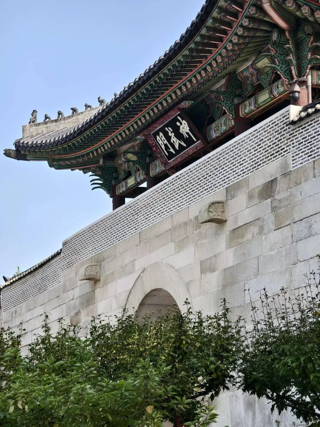这个曾是韩国最神秘的地点，对游客正式开放了！青瓦台的攻略，来了！外国人也能随便拍照！ -华闻时空