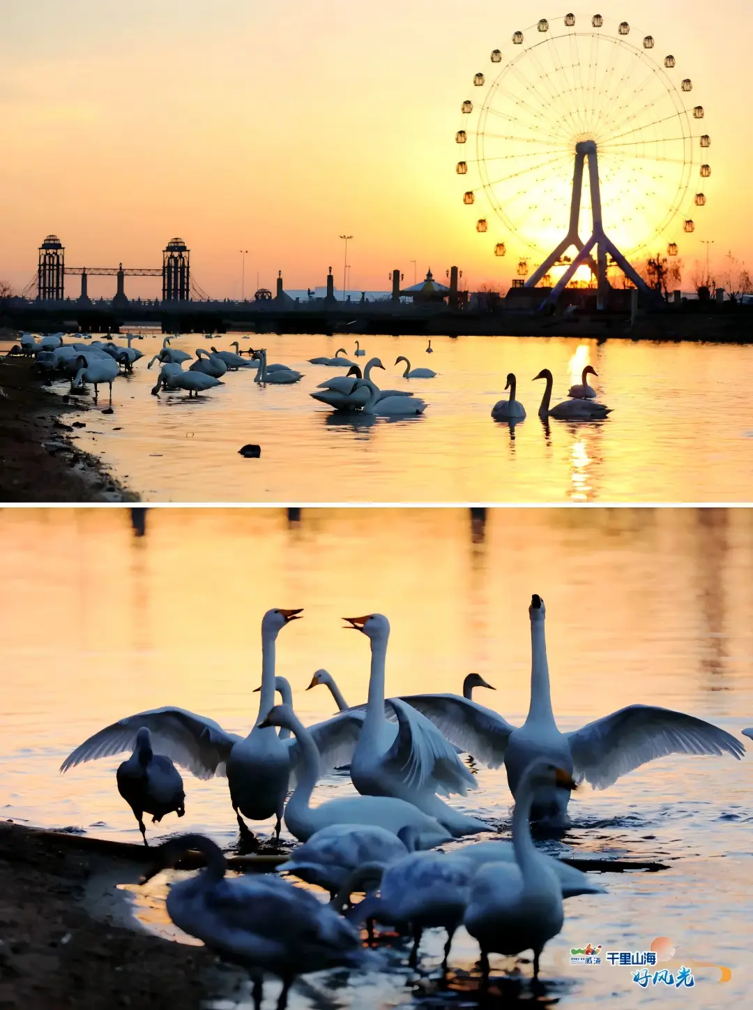 冬游那香海丨报告!威海人有自己的冰雪童话节，好玩又好看 -华闻时空