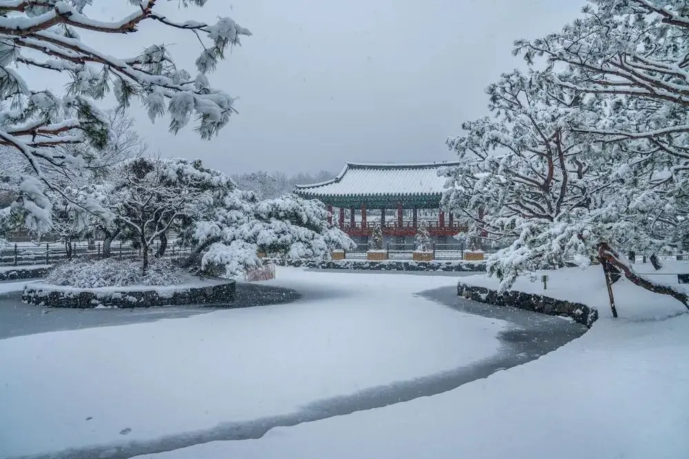 春运首日火车票将于本月31日起售-华闻时空