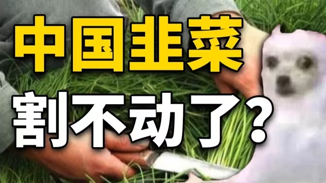 大溃败！垄断10年的欧美大牌，为何跌落神坛？-华闻时空