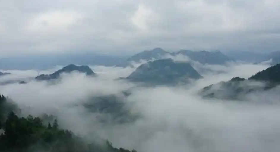 白鹤：让入乡青年奔赴“未来乡村梦”-华闻时空