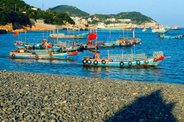 鱼是会哭的,我们听到了吗 | 陆春祥-华闻时空