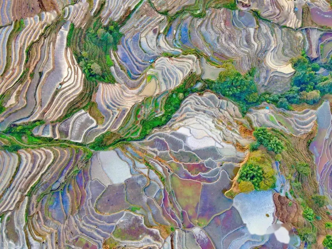 演员王星被绑事件后，2025年寒假的泰国旅游，要凉？你还敢去吗？ -华闻时空