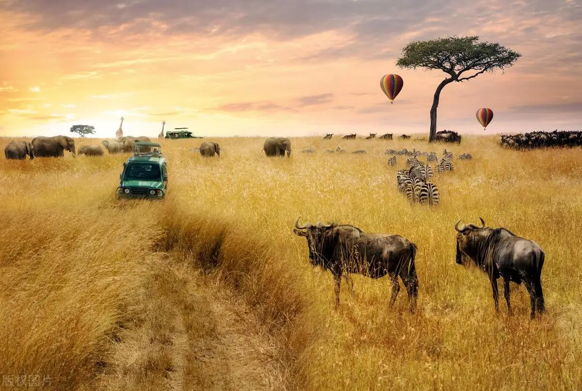 2025年非洲看点 -华闻时空