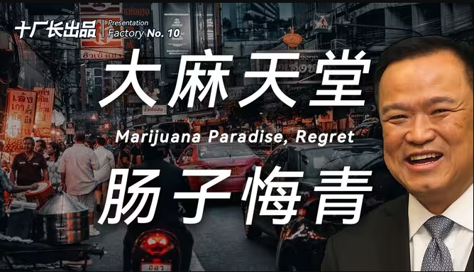 亚洲首个“大麻合法化”的国家，现在肠子都悔青了！-华闻时空