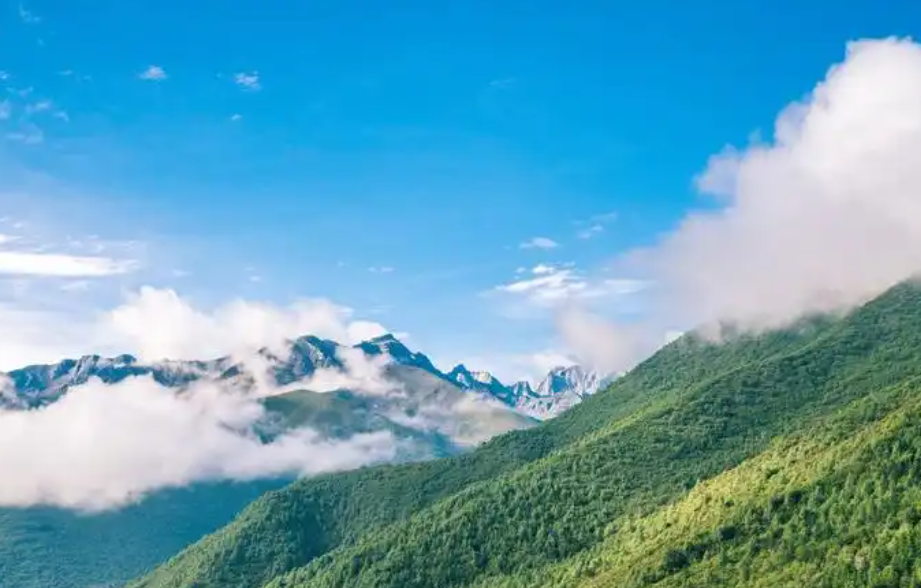 2点5眼神（小小说）-华闻时空