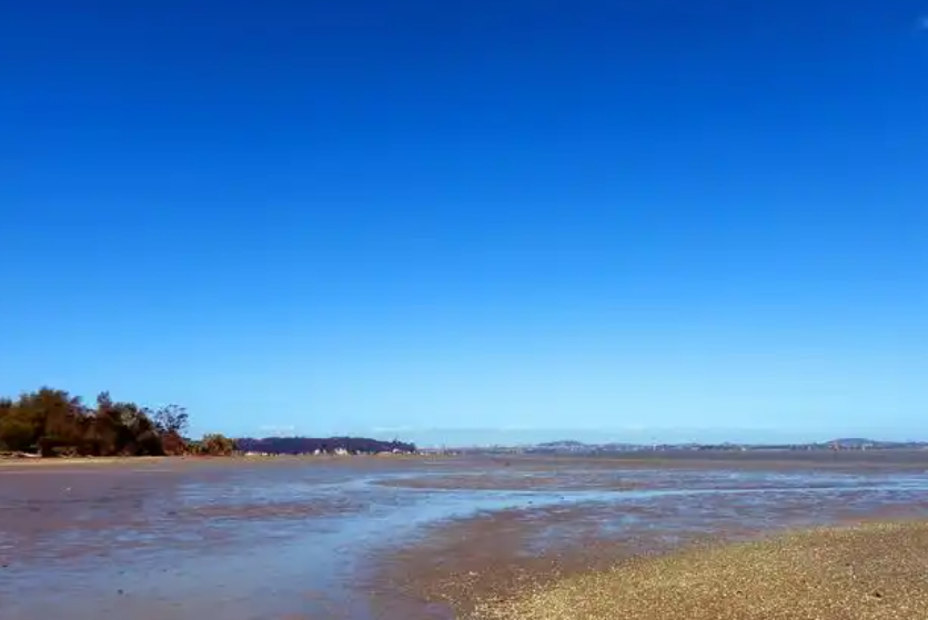 春风化雨.润物无声——言午君-华闻时空