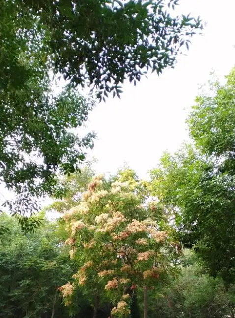 时间留不住-华闻时空