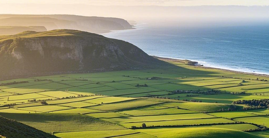 文莱决定给予持普通护照的中国公民14天免签入境政策 -华闻时空