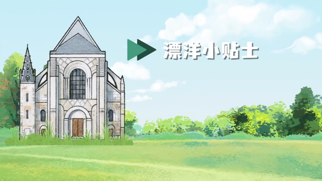 中国电视-《漂洋过海来看你》：“漂洋小贴士”，包装放“大招”-华闻时空