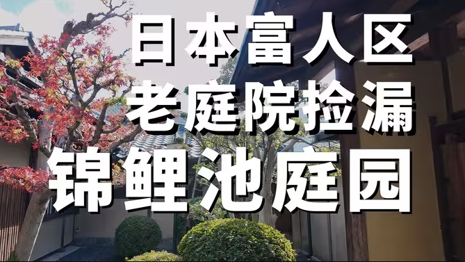 【日本的房子】庭院中有锦鲤池的老宅，63年前的未来新城和幽默老艺术家的快乐一生-华闻时空