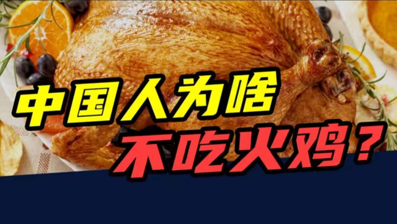 一年吃掉4500万只！在美国备受追捧的火鸡，为啥在中国无人问津？-华闻时空