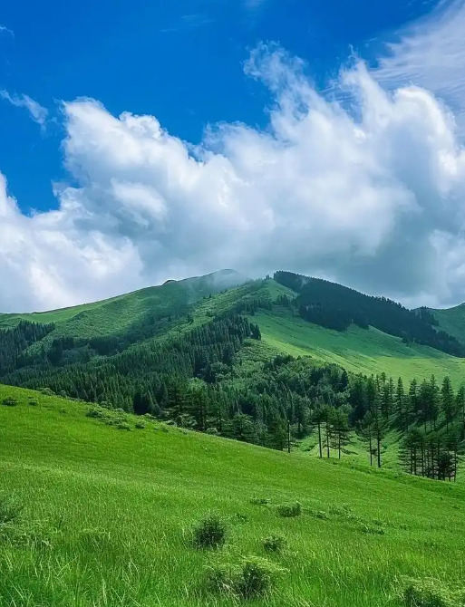 姜敏达诗歌欣赏:三月-华闻时空