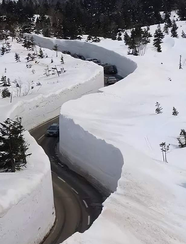 俄罗斯下场雪，看呆全世界！真是第一次见！实在太…-华闻时空