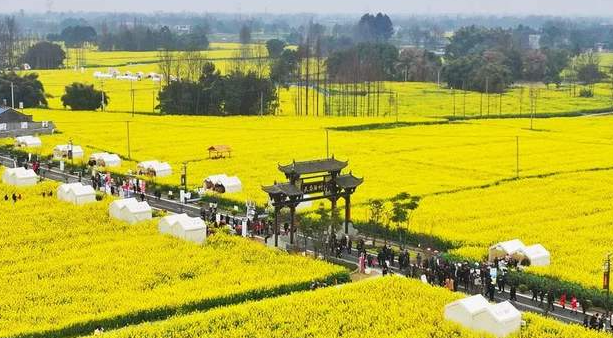 遇见“天府酒村” | 解锁“诗与远方”的N种打开方式……-华闻时空