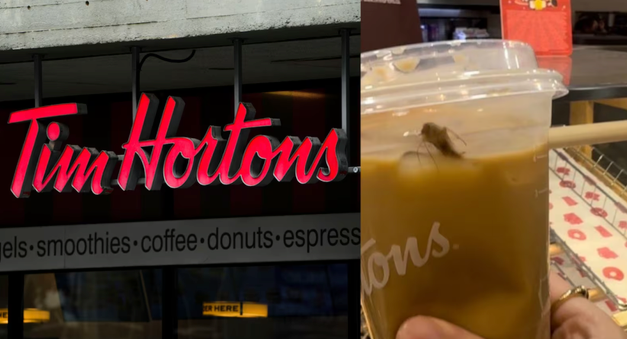 怒了!加拿大国民咖啡中惊现大蟑螂!主管说很常见!还爆发甲肝-华闻时空