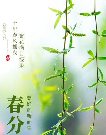 姜敏达诗歌欣赏：春分-华闻时空