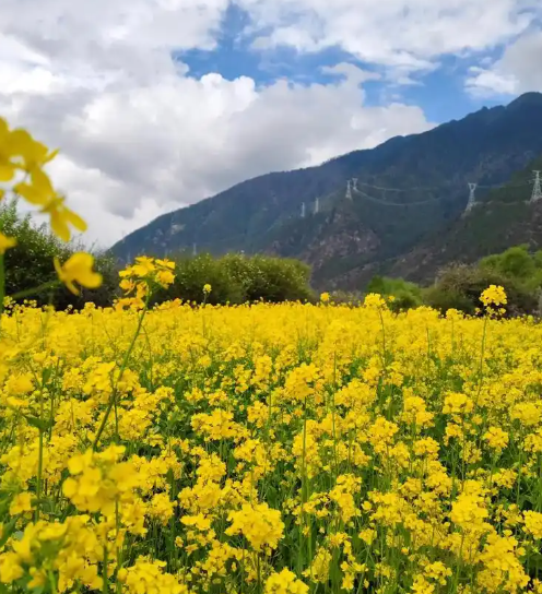 赵麟斌:《恋曲之一》(外二首)-华闻时空