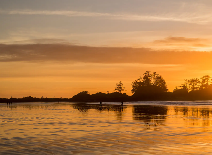 新西兰华新社携手中检集团 共同强化食品安全 深化新中经贸合作-华闻时空