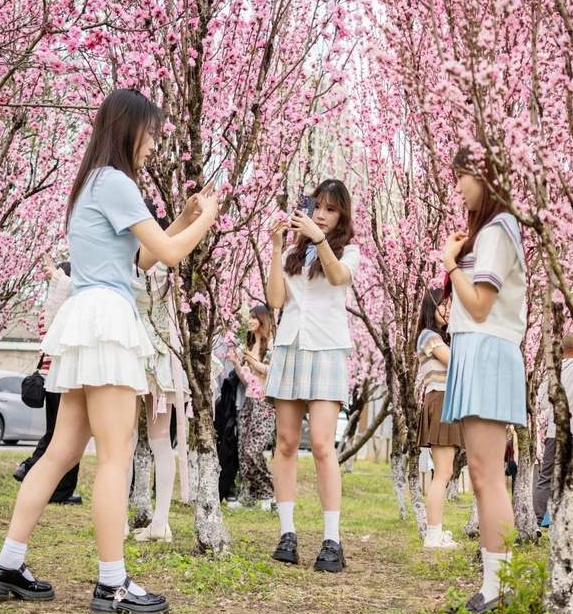 高职院赏桃记-华闻时空