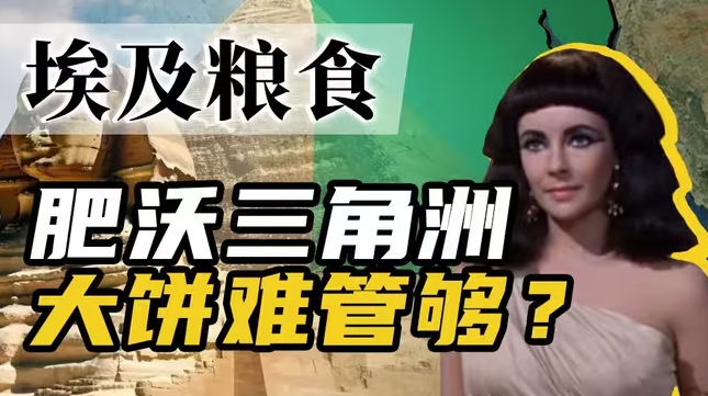 埃及为何从“帝国粮仓”变成了“粮食进口王”？-华闻时空