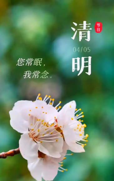 2017年4月4日一日一诗：虞锦贵《清明·祭》（读诗版）-华闻时空