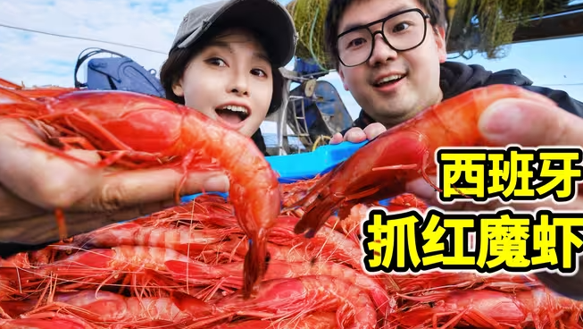 西班牙抓红魔虾，一只200元，今天能赚多少钱？-华闻时空